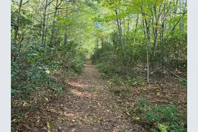 Tbd Off Windy Acres Ridge Road, Fleetwood, NC 28626 - Photo 11