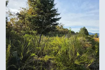 Tbd US Hwy 221 / Railroad Grade Road, Fleetwood, NC 28626 - Photo 5