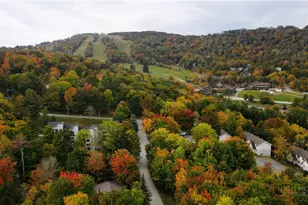 202 Birchwood Ln, Beech Mountain, NC 28604 - Photo 27