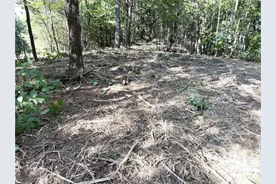Tbd Ridge Run Road, Boomer, NC 28606 - Photo 3