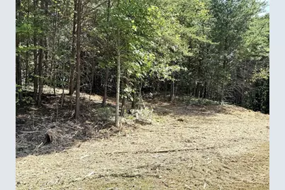 Tbd Ridge Run Road, Boomer, NC 28606 - Photo 13