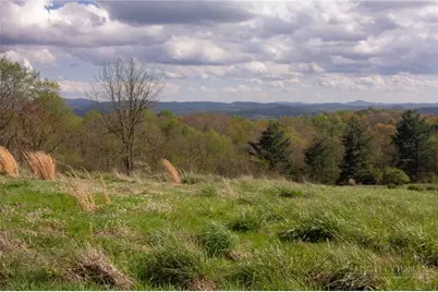 7764 Wilson Highway, Independence, VA 24348 - Photo 13