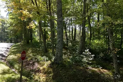 Lot 42 Rock Spring Circle, Sugar Mountain, NC 28604 - Photo 7