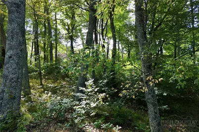 Lot 42 Rock Spring Circle, Sugar Mountain, NC 28604 - Photo 5