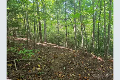 1650 Russell Gap Road #102, Moravian Falls, NC 28654 - Photo 31