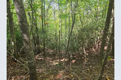 1650 Russell Gap Road #102, Moravian Falls, NC 28654 - Photo 27