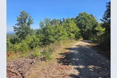 1650 Russell Gap Road #102, Moravian Falls, NC 28654 - Photo 19
