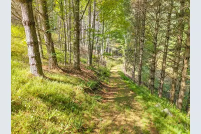 Tbd Clark Swift Road, Vilas, NC 28692 - Photo 25