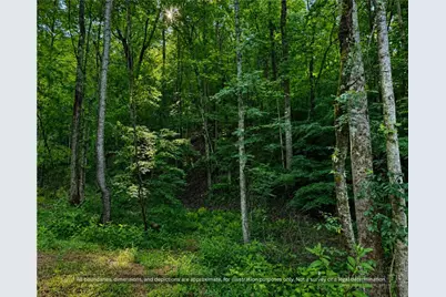 99999 Boone Gap Lane, Taylorsville, NC 28681 - Photo 13