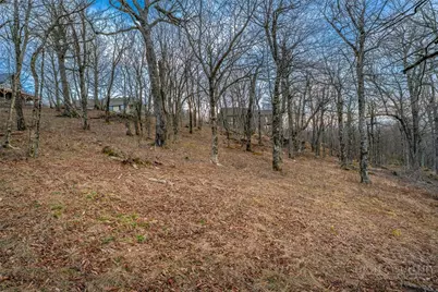 L21 Woodland Way, Beech Mountain, NC 28604 - Photo 13