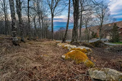 L21 Woodland Way, Beech Mountain, NC 28604 - Photo 15