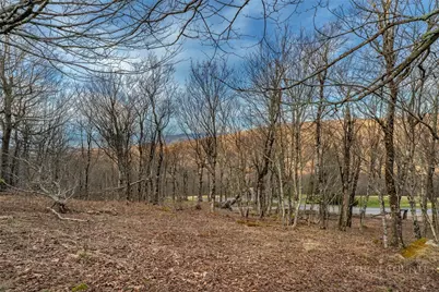 L21 Woodland Way, Beech Mountain, NC 28604 - Photo 11