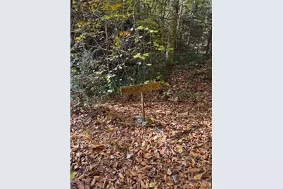 78 Holleridge Road, Ferguson, NC 28624 - Photo 5
