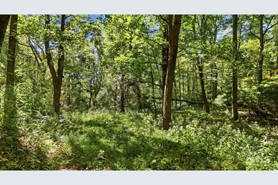 Off Rocky Knob Tower Road, Lenoir, NC 28645 - Photo 47