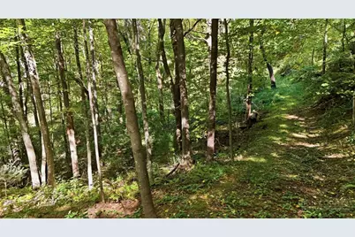 Off Rocky Knob Tower Road, Lenoir, NC 28645 - Photo 43