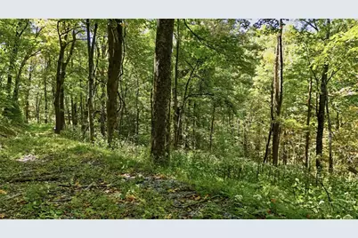 Off Rocky Knob Tower Road, Lenoir, NC 28645 - Photo 39