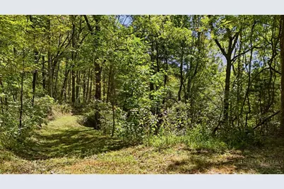 Off Rocky Knob Tower Road, Lenoir, NC 28645 - Photo 13
