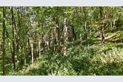 Off Rocky Knob Tower Road, Lenoir, NC 28645 - Photo 45