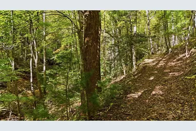 Off Rocky Knob Tower Road, Lenoir, NC 28645 - Photo 19