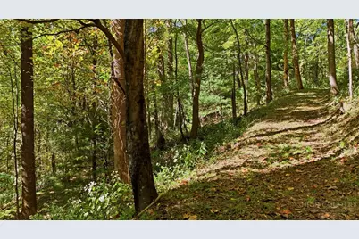 Off Rocky Knob Tower Road, Lenoir, NC 28645 - Photo 15