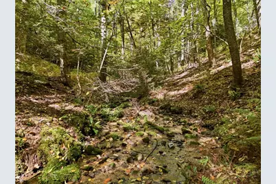 Off Rocky Knob Tower Road, Lenoir, NC 28645 - Photo 7