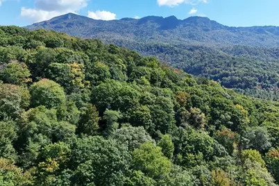 Lot 1 Castlefern Road, Banner Elk, NC 28604 - Photo 5