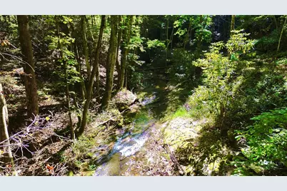 175 Dallas Watson Lane, Deep Gap, NC 28618 - Photo 3