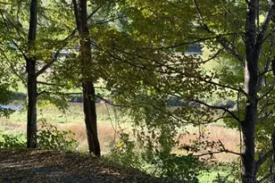 9275 Nc Hwy 88 W, Warrensville, NC 28693 - Photo 15