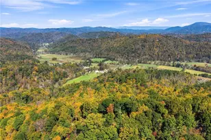 261 Cut Laurel Ln, Banner Elk, NC 28604 - Photo 43