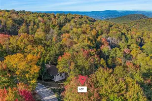 111 Foxgrape Hollow Rd, Beech Mountain, NC 28604 - Photo 1