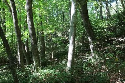 Lot 122 Lauren Lane, West Jefferson, NC 28694 - Photo 9