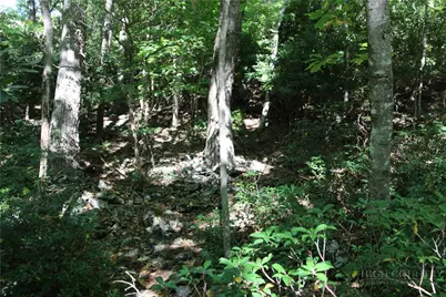 Lot 122 Lauren Lane, West Jefferson, NC 28694 - Photo 15