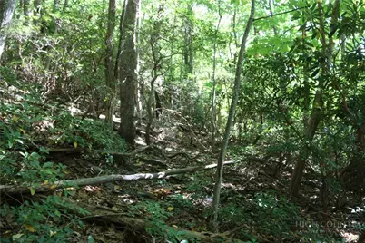 Lot 122 Lauren Lane, West Jefferson, NC 28694 - Photo 13