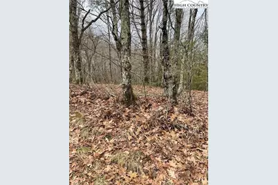 Tbd Old Mountain Road, Banner Elk, NC 28604 - Photo 11