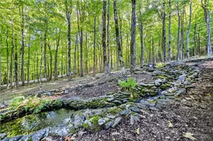 632 Big Tree Rd, West Jefferson, NC 28694 - Photo 5