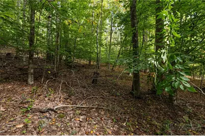 Lot 18 Treetop Lane, Banner Elk, NC 28604 - Photo 11