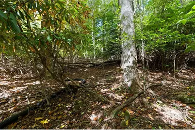 Lot 18 Treetop Lane, Banner Elk, NC 28604 - Photo 7