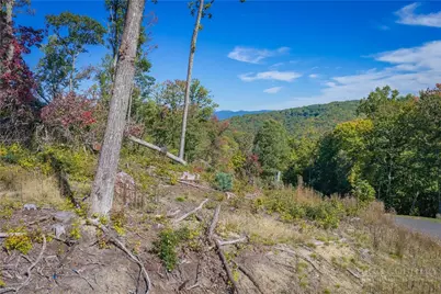 Wr-17 Firethorne Lane, Elk Park, NC 28622 - Photo 3
