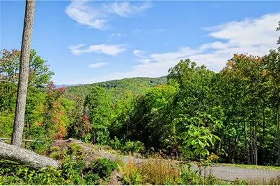 Wr-17 Firethorne Lane, Elk Park, NC 28622 - Photo 5