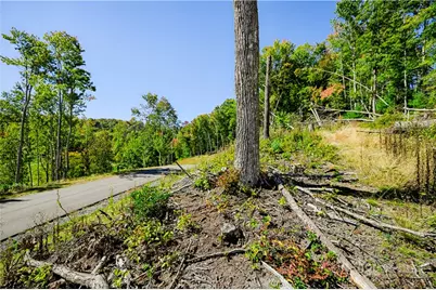 Wr-17 Firethorne Lane, Elk Park, NC 28622 - Photo 13