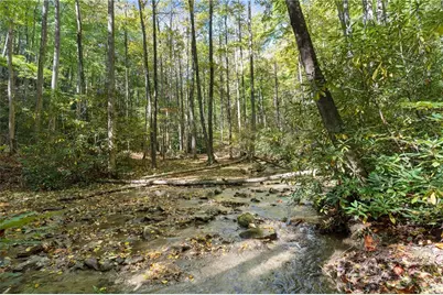 7954 Bailey Falls Lane, Lenoir, NC 28645 - Photo 39