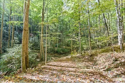 7954 Bailey Falls Lane, Lenoir, NC 28645 - Photo 45