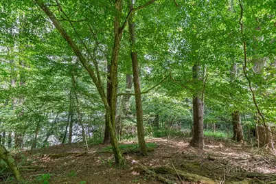 Lot 255/256 Lakeside Drive, West Jefferson, NC 28694 - Photo 9