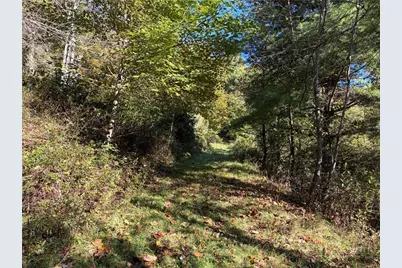 Tbd Water Tank Road, West Jefferson, NC 28694 - Photo 3