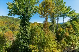 446 Peaceful Haven Dr, Boone, NC 28607 - Photo 13