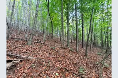 Tbd E Weaver Ford Road, Grassy Creek, NC 28631 - Photo 5