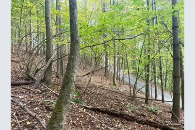 Tbd E Weaver Ford Road, Grassy Creek, NC 28631 - Photo 3