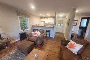 105 Upper Holiday Ln, Beech Mountain, NC 28604 - Photo 5