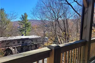 105 Upper Holiday Ln, Beech Mountain, NC 28604 - Photo 19
