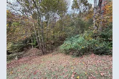 183 E Weaver Ford Road, Grassy Creek, NC 28631 - Photo 35